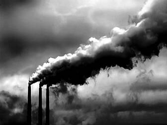 Ireland will not reach climate...